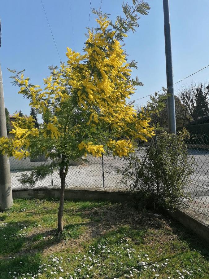 산타르칸젤로 디 로마냐 La Birichina 아파트 외부 사진